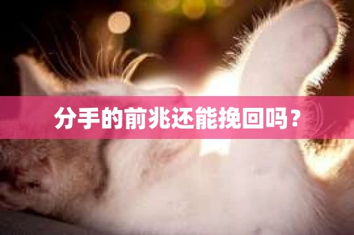 分手的前兆还能挽回吗？