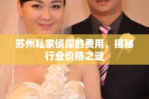 苏州私家侦探的费用，揭秘行业价格之谜