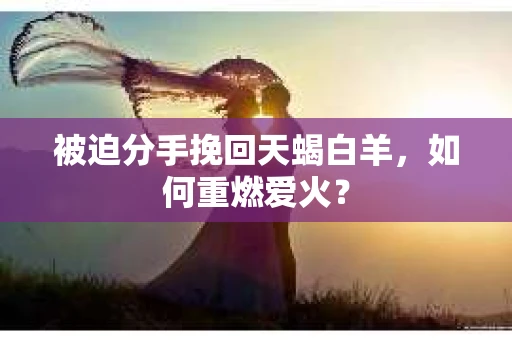 被迫分手挽回天蝎白羊，如何重燃爱火？
