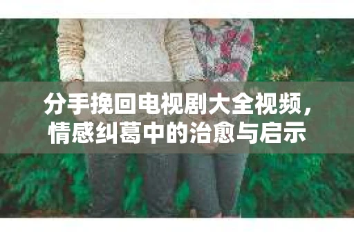 分手挽回电视剧大全视频，情感纠葛中的治愈与启示