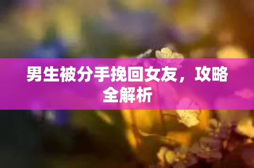 男生被分手挽回女友，攻略全解析
