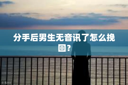 分手后男生无音讯了怎么挽回？