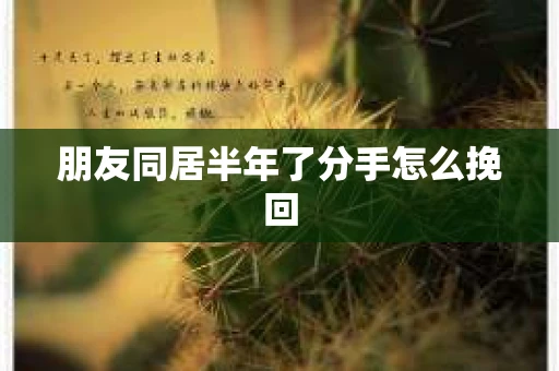朋友同居半年了分手怎么挽回