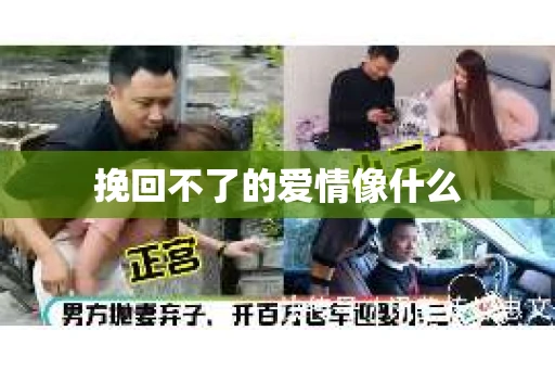 挽回不了的爱情像什么