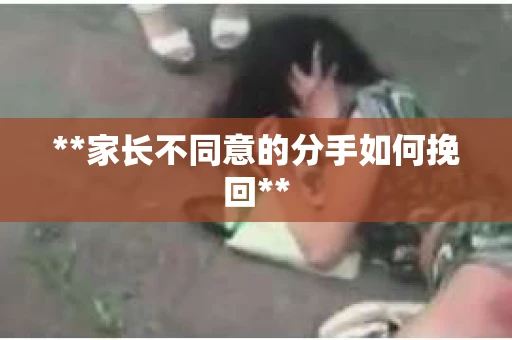 **家长不同意的分手如何挽回**