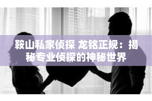 鞍山私家侦探 龙铭正规：揭秘专业侦探的神秘世界