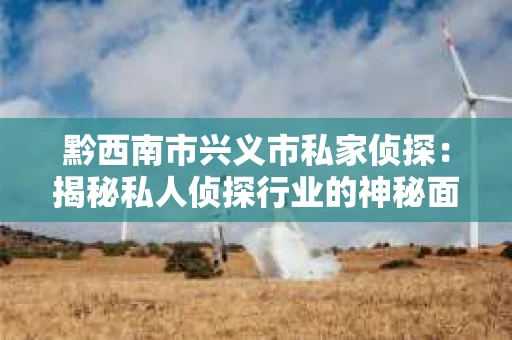 黔西南市兴义市私家侦探：揭秘私人侦探行业的神秘面纱