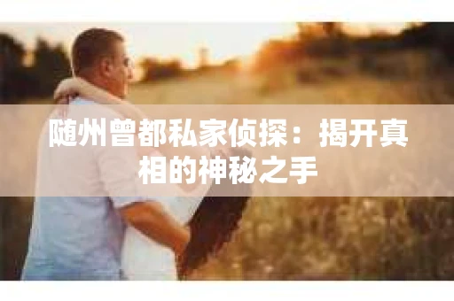 随州曾都私家侦探：揭开真相的神秘之手