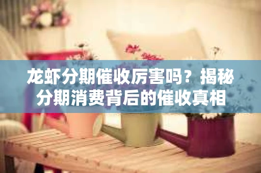 龙虾分期催收厉害吗？揭秘分期消费背后的催收真相