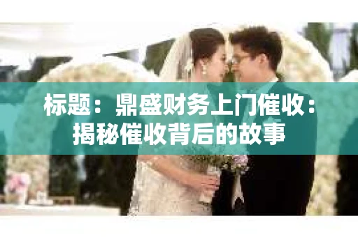 标题：鼎盛财务上门催收：揭秘催收背后的故事