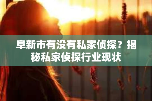 阜新市有没有私家侦探？揭秘私家侦探行业现状