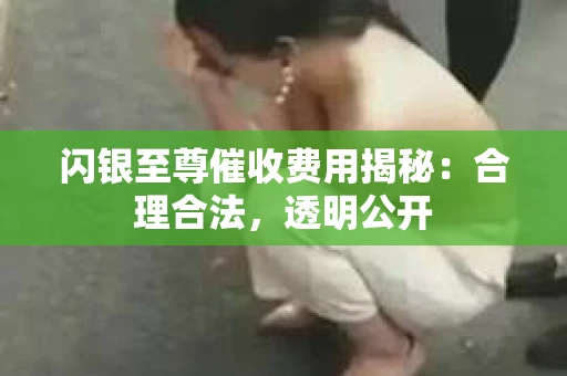 闪银至尊催收费用揭秘：合理合法，透明公开