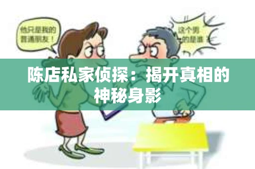 陈店私家侦探：揭开真相的神秘身影