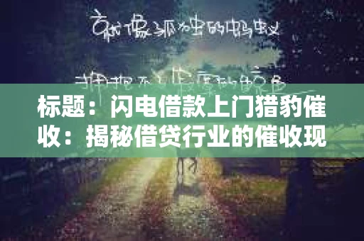 标题：闪电借款上门猎豹催收：揭秘借贷行业的催收现状