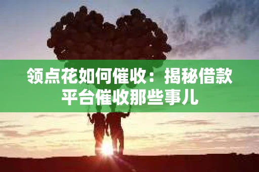 领点花如何催收：揭秘借款平台催收那些事儿