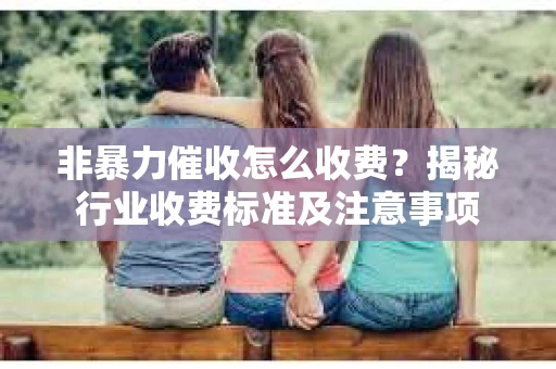 非暴力催收怎么收费？揭秘行业收费标准及注意事项