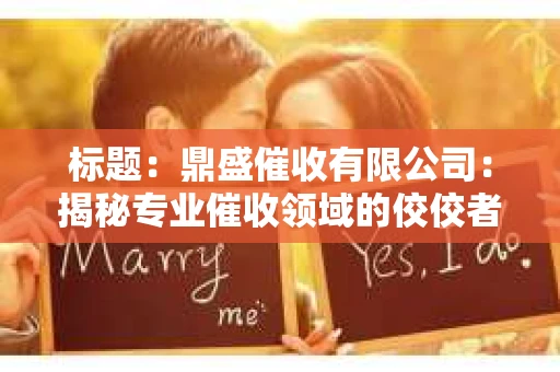 标题：鼎盛催收有限公司：揭秘专业催收领域的佼佼者