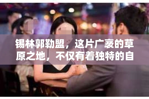 锡林郭勒盟，这片广袤的草原之地，不仅有着独特的自然风光，也有着丰富多彩的社会生活。那么，问题来了——锡林郭勒盟有私家侦探吗？这个问题看似简单，实则背后隐藏着不少信息。今天，我们就来聊聊这个话题。