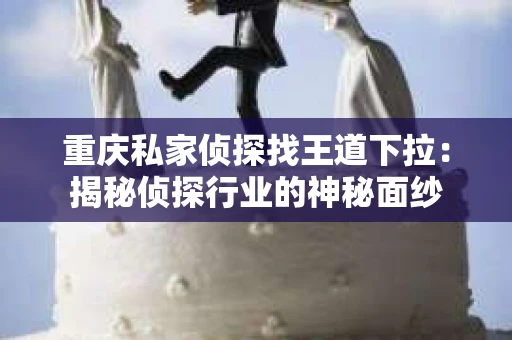 重庆私家侦探找王道下拉：揭秘侦探行业的神秘面纱
