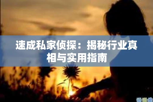 速成私家侦探：揭秘行业真相与实用指南