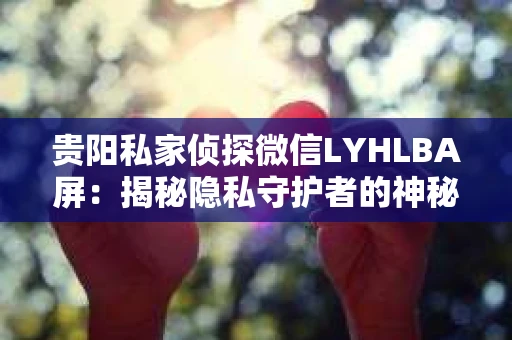 贵阳私家侦探微信LYHLBA屏：揭秘隐私守护者的神秘世界