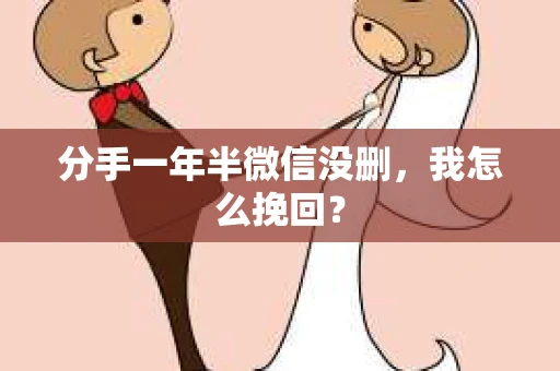 分手一年半微信没删，我怎么挽回？